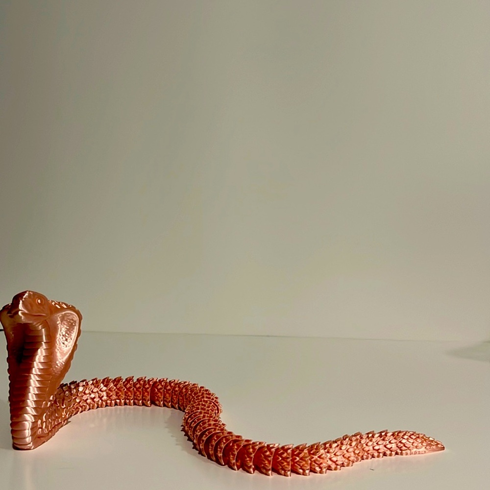 Rose gold cobra $10 - DM if interested (comes in other colors)